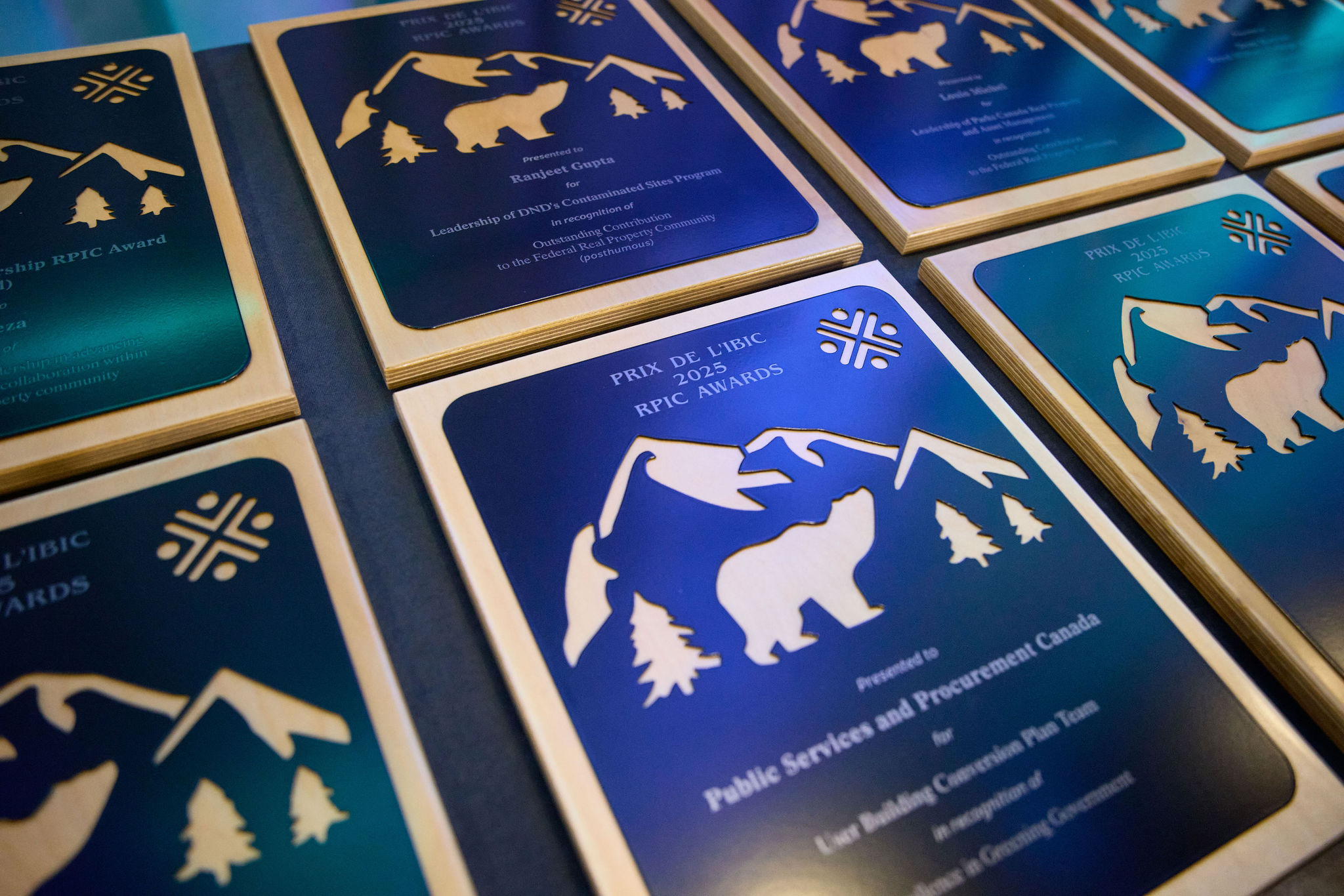 RPIC Awards of Excellence trophy plaques